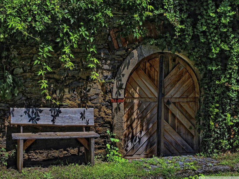 Wooden bench by ivy-covered door
