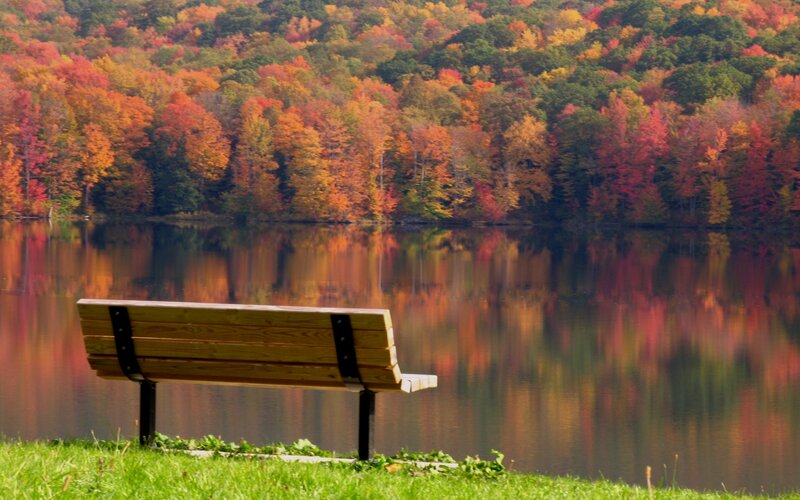 Wooden Bench by Lake — Autumn