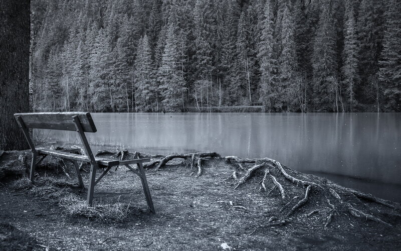 Wooden Bench by Lake — Black