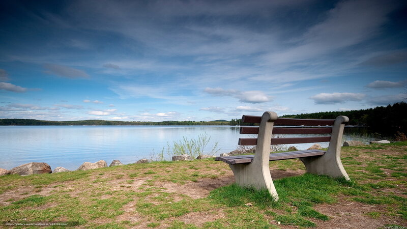 Wooden Bench by Lake — Blue, Serene, Afternoon, Photograph, Trees