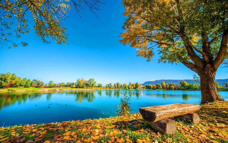 Wooden Bench by Lake — Blue, Serene, Autumn, Photograph