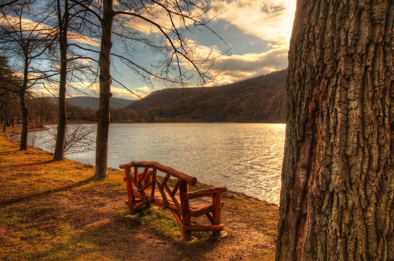 Wooden Bench by Lake — Brown, Serene, Sunset