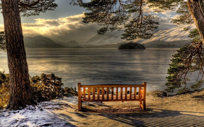 Wooden Bench by Lake — Brown, Serene, Winter