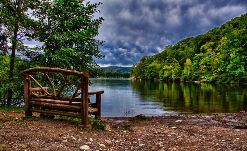 Wooden Bench by Lake — Green, Dramatic, Afternoon