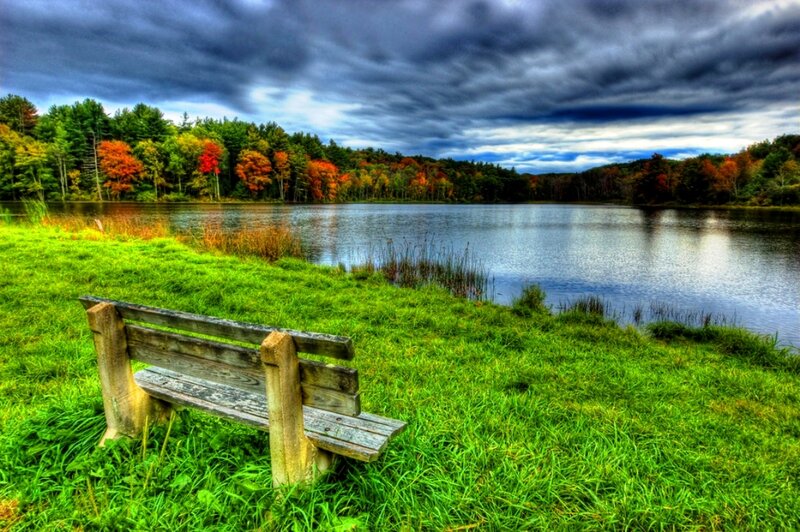 Wooden Bench by Lake — Green, Dramatic, Autumn, Photograph