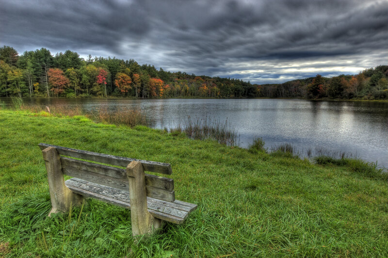 Wooden Bench by Lake — Green, Dramatic, Autumn