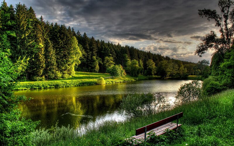 Wooden Bench by Lake — Green, Dramatic, Sunset, Photograph, Forest