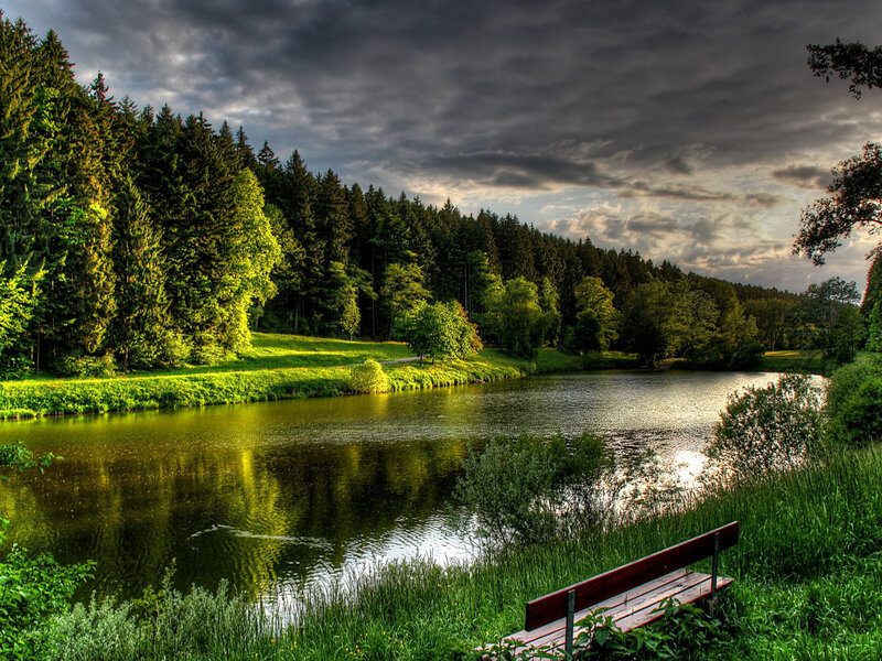 Wooden Bench by Lake — Green, Dramatic, Sunset, Photograph