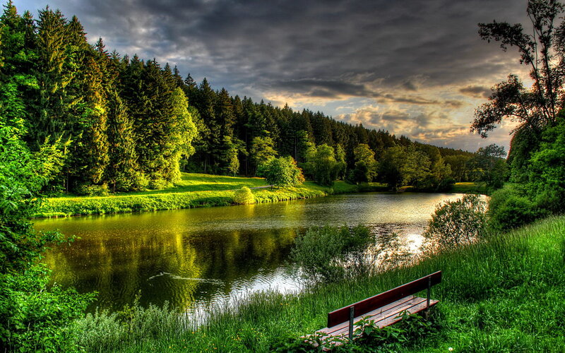 Wooden Bench by Lake — Green, Dramatic, Sunset