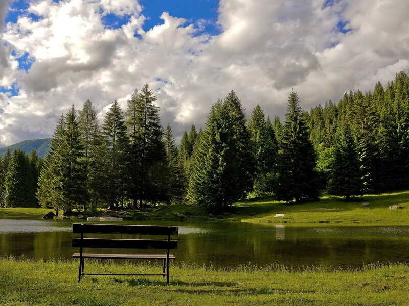 Wooden Bench by Lake — Green, Serene, Afternoon, Photograph