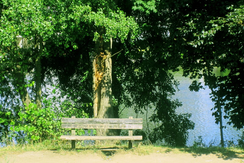 Wooden Bench by Lake — Green, Serene, Afternoon, Photograph, Tree