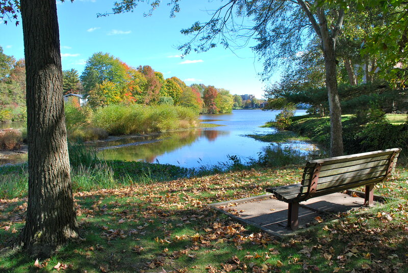 Wooden Bench by Lake — Green, Serene, Autumn, Photograph, Tree