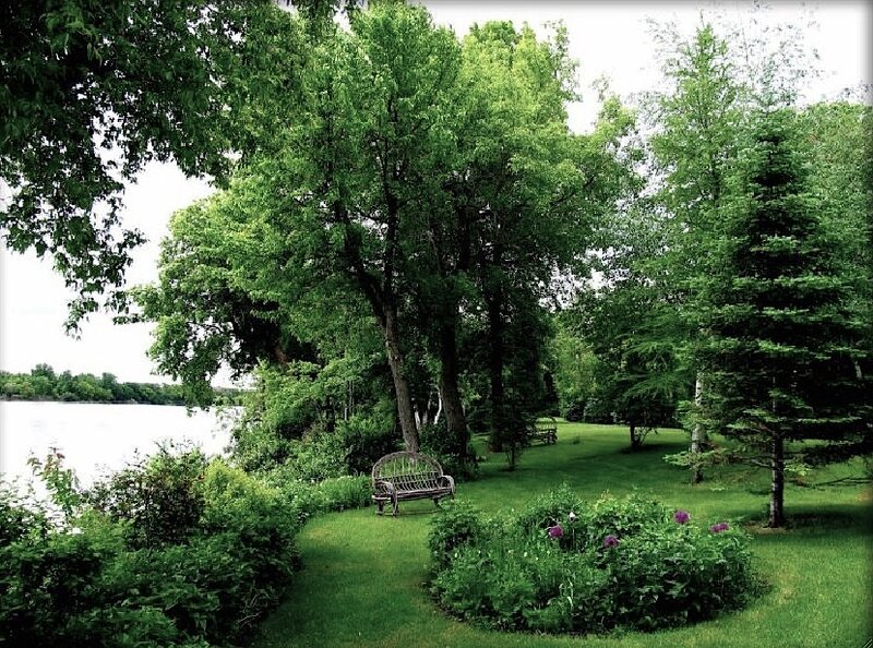 Wooden Bench by Lake — Green, Serene, Summer