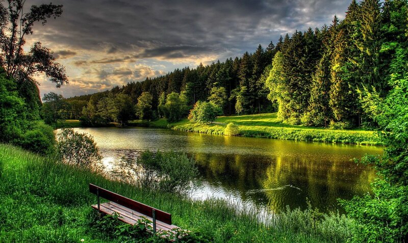 Wooden Bench by Lake — Green, Serene, Sunset, Photograph, Forest