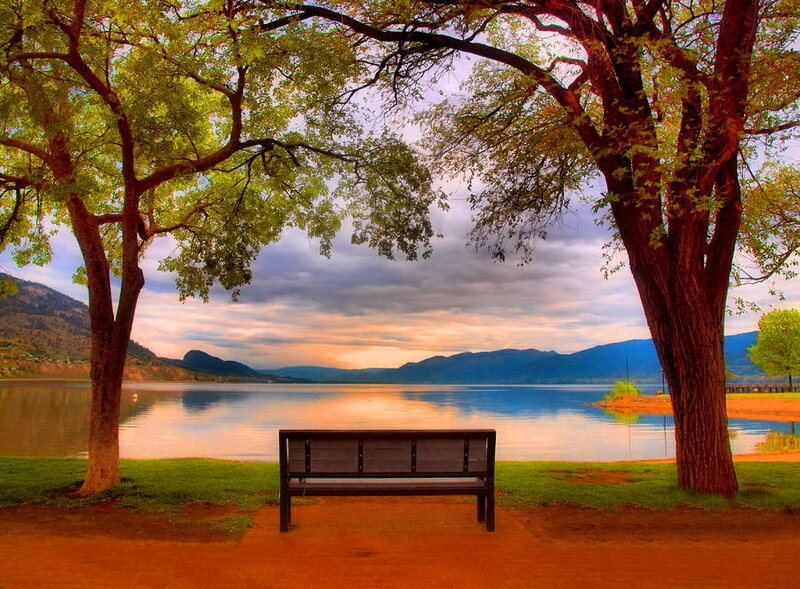 Wooden Bench by Lake — Green, Serene, Sunset, Photograph
