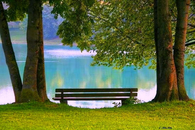 Wooden Bench by Lake — Green, Serene