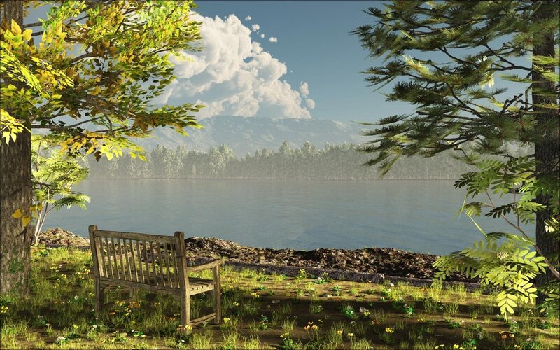 Wooden Bench by Lake — Green