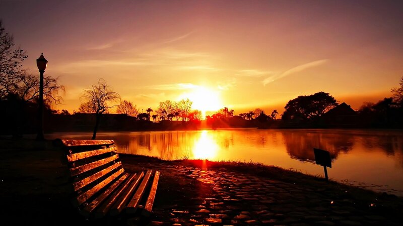 Wooden Bench by Lake — Orange, Serene, Sunset, Photograph, Lamp Post, Trees