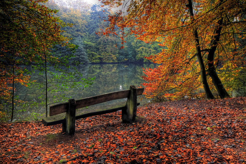 Wooden Bench by Lake — Orange, Serene
