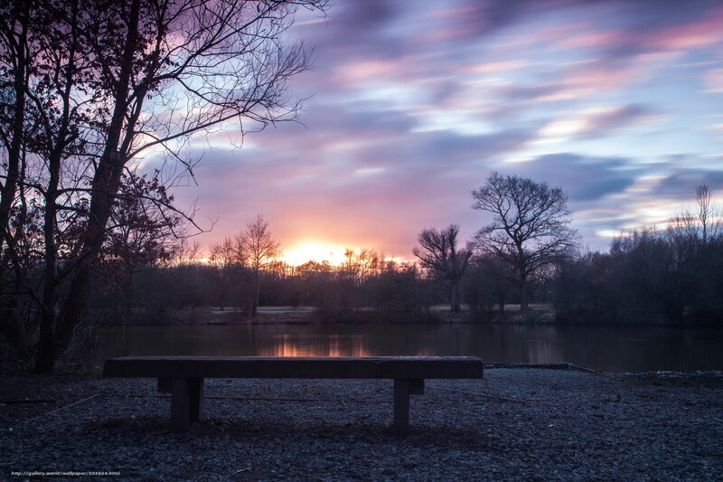 Wooden Bench by Lake — Purple, Serene, Sunset