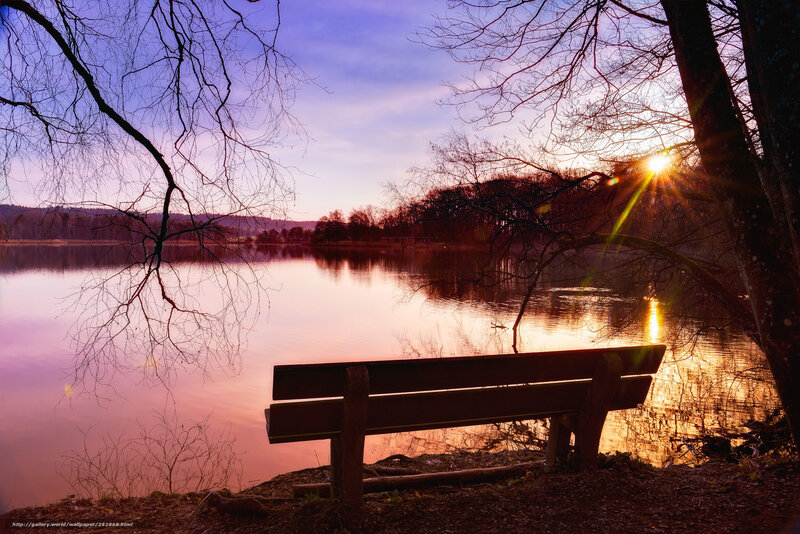 Wooden Bench by Lake — Purple, Serene