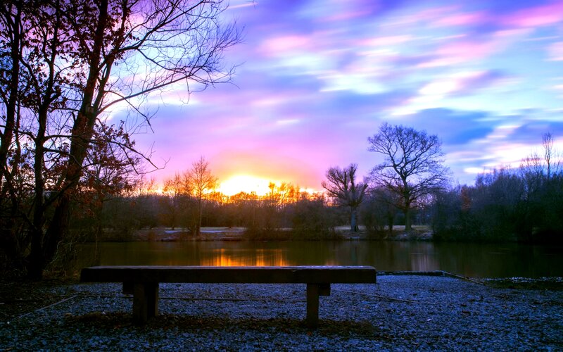 Wooden Bench by Lake — Purple