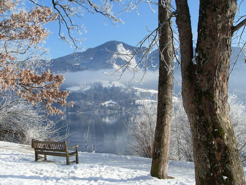 Wooden Bench by Lake — White, Serene