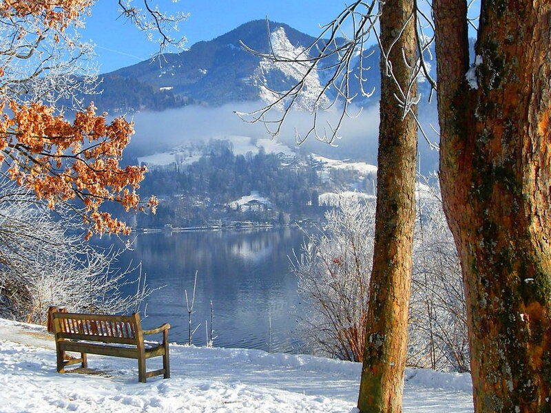 Wooden Bench by Lake — White