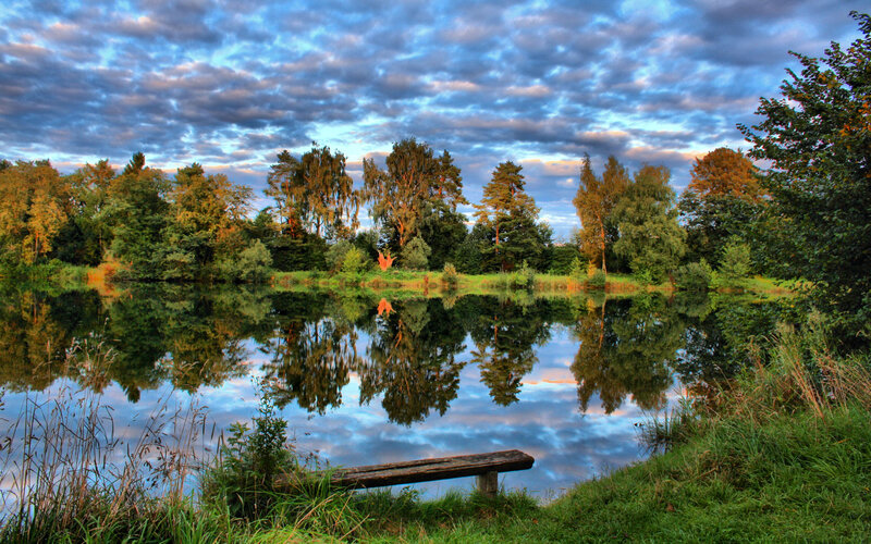 Wooden Bench by Pond — Blue, Serene