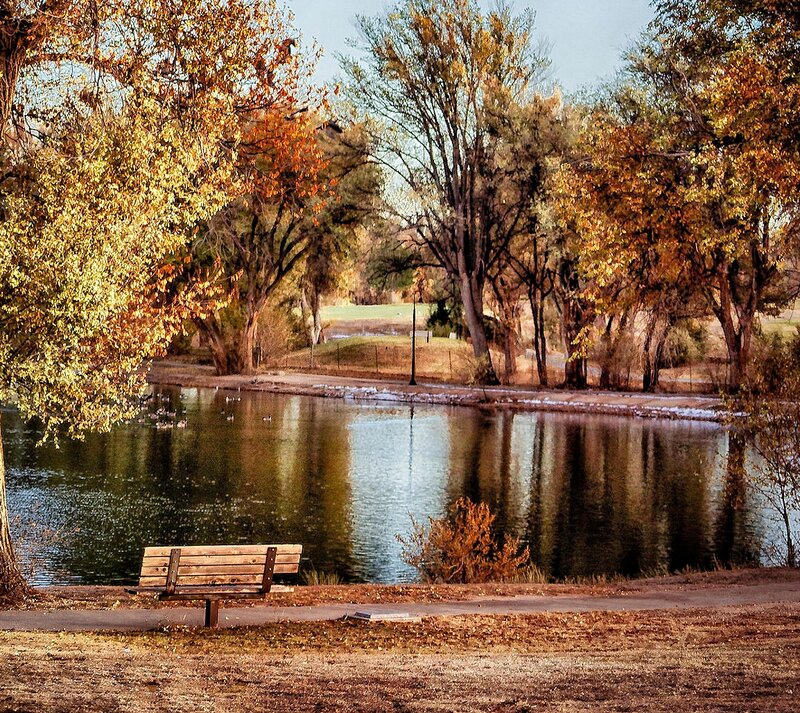 Wooden Bench by Pond — Brown, Serene