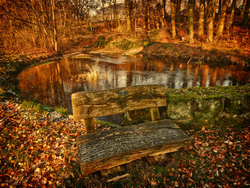 Wooden Bench by Pond — Brown