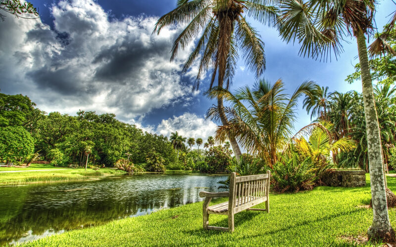 Wooden Bench by Pond — Green, Dramatic