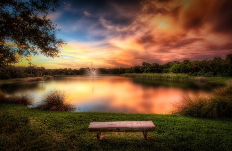 Wooden Bench by Pond — Green, Serene, Sunset