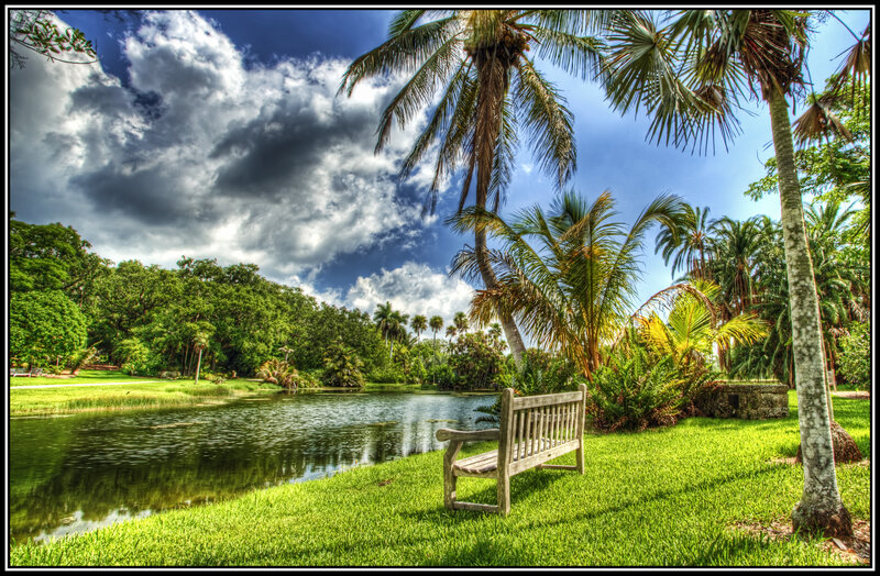 Wooden Bench by Pond — Green