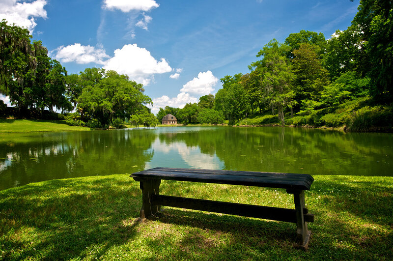 Wooden Bench by Pond