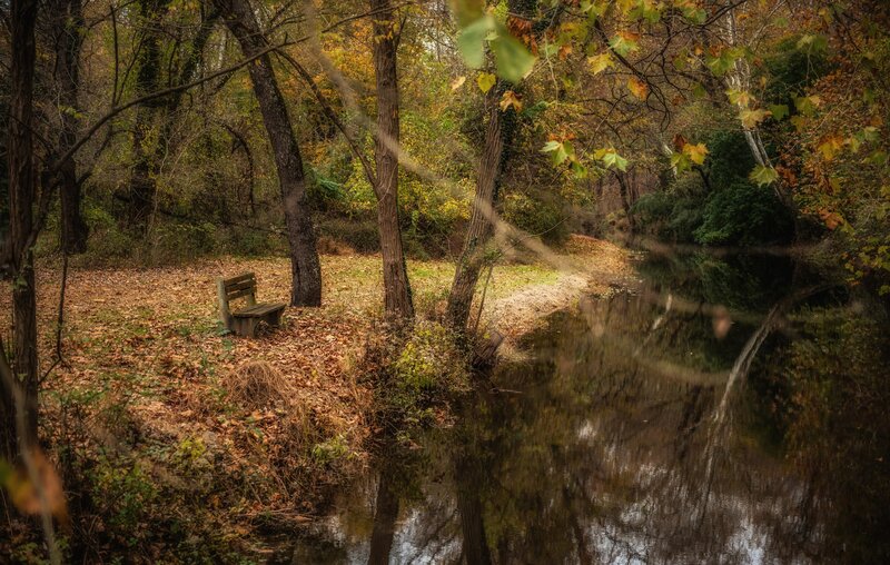Wooden Bench by River — Brown
