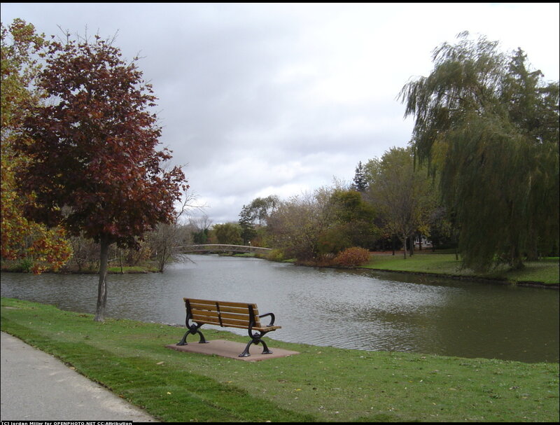 Wooden Bench by River — Green