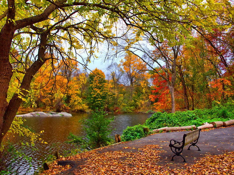 Wooden Bench by River — Orange