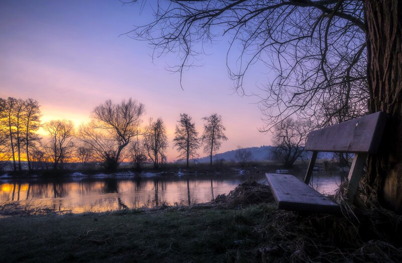 Wooden Bench by River — Purple