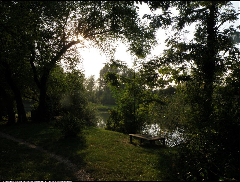 Wooden Bench by River
