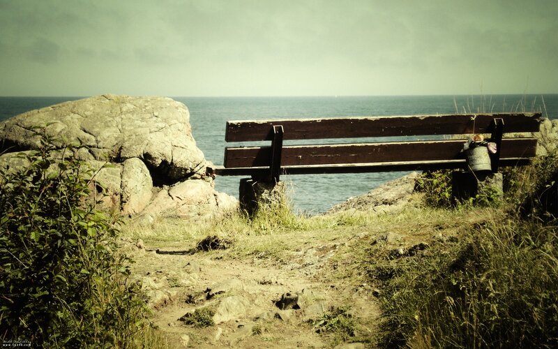 Wooden Bench by Sea — Green, Serene
