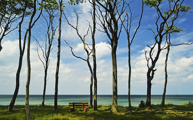 Wooden Bench by Sea