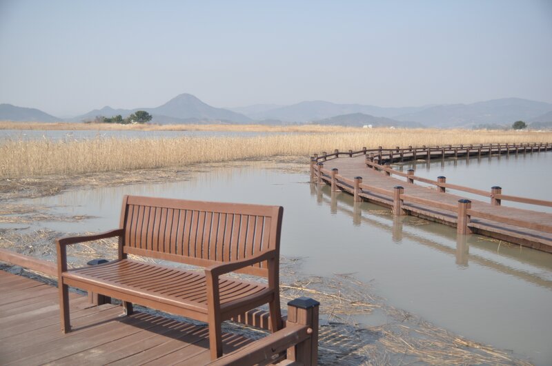 Wooden bench by the lake