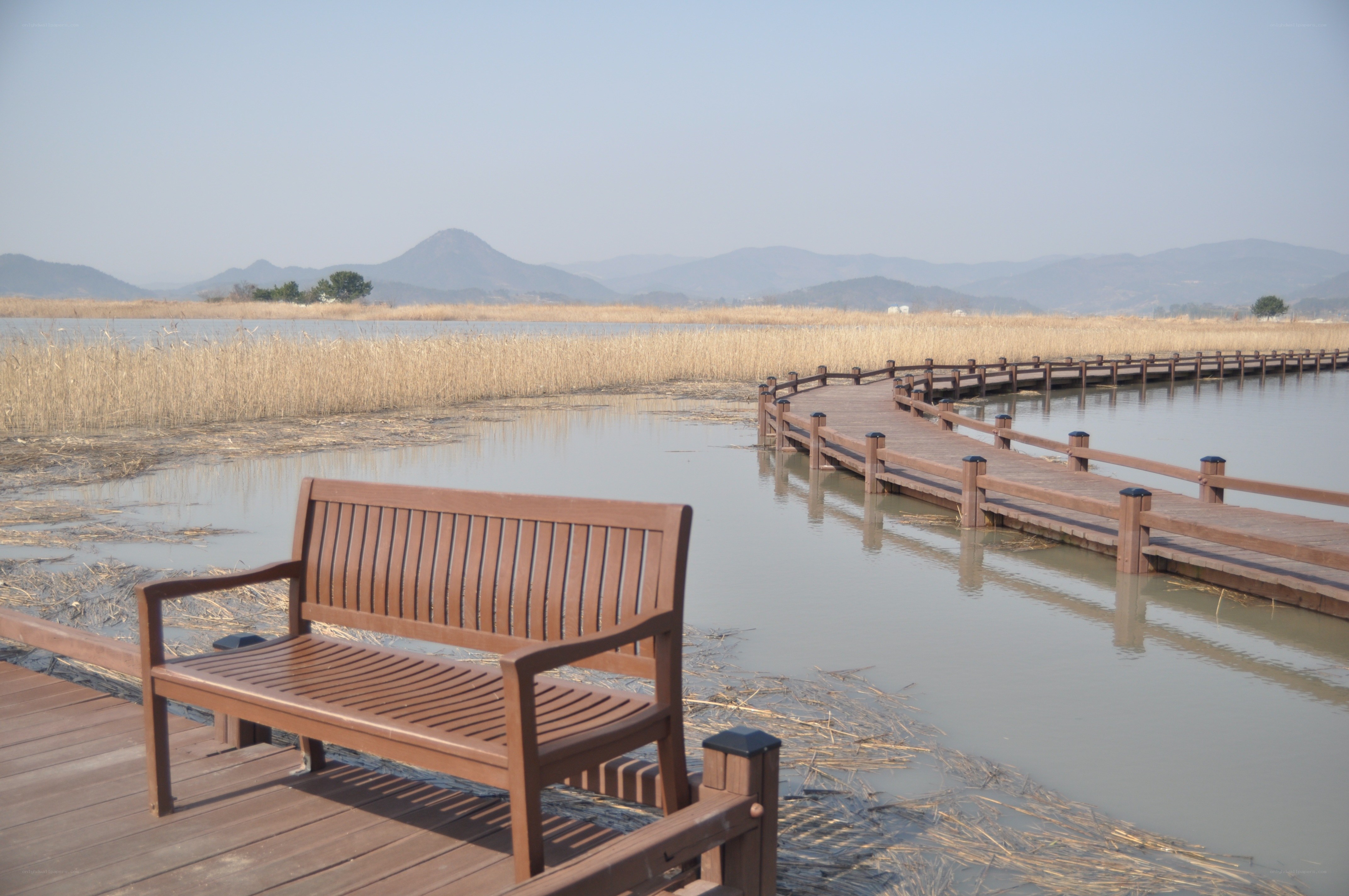 Wooden bench by the lake