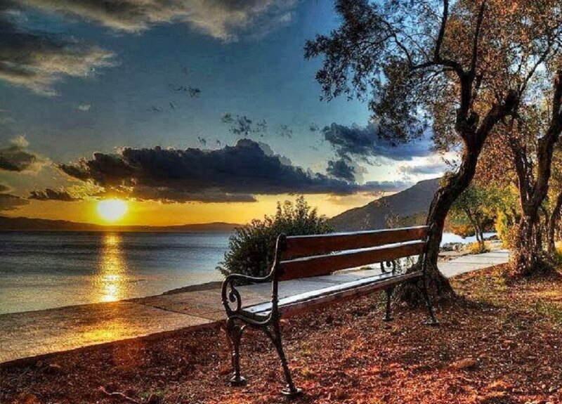 Wooden Bench by Water — Blue