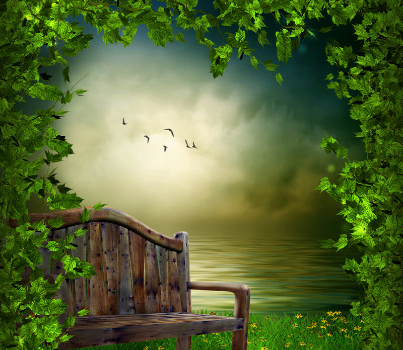 Wooden Bench by Water — Green, Serene