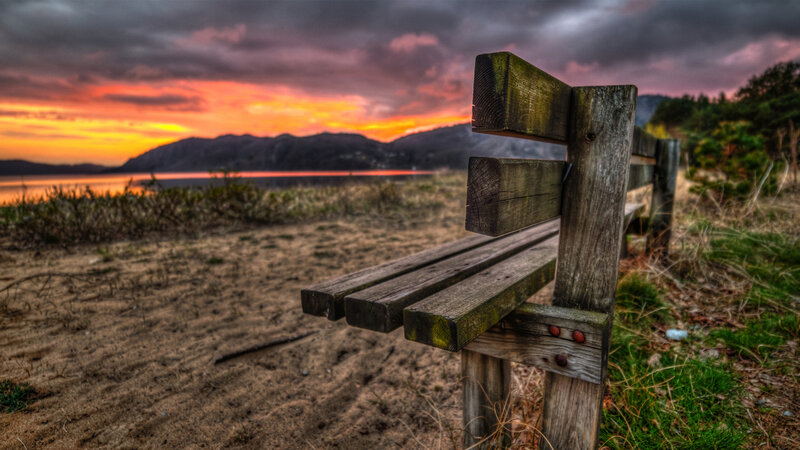 Wooden Bench by Water — Orange