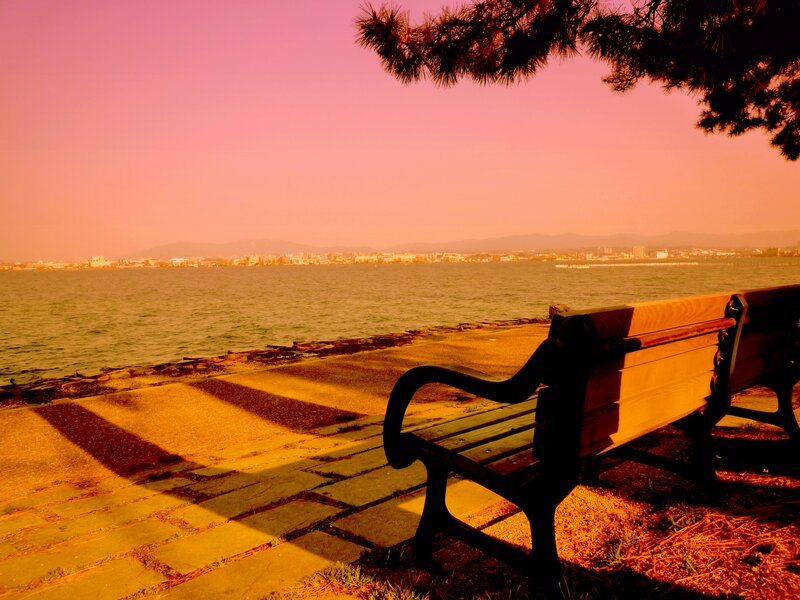 Wooden Bench by Water — Pink