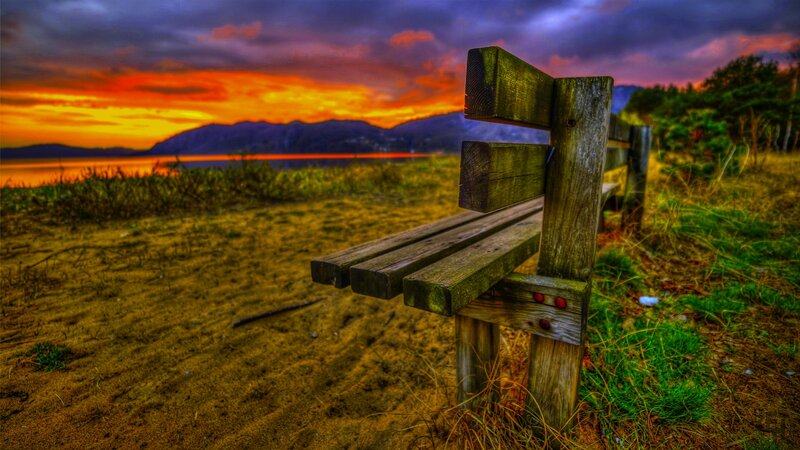Wooden Bench by Water