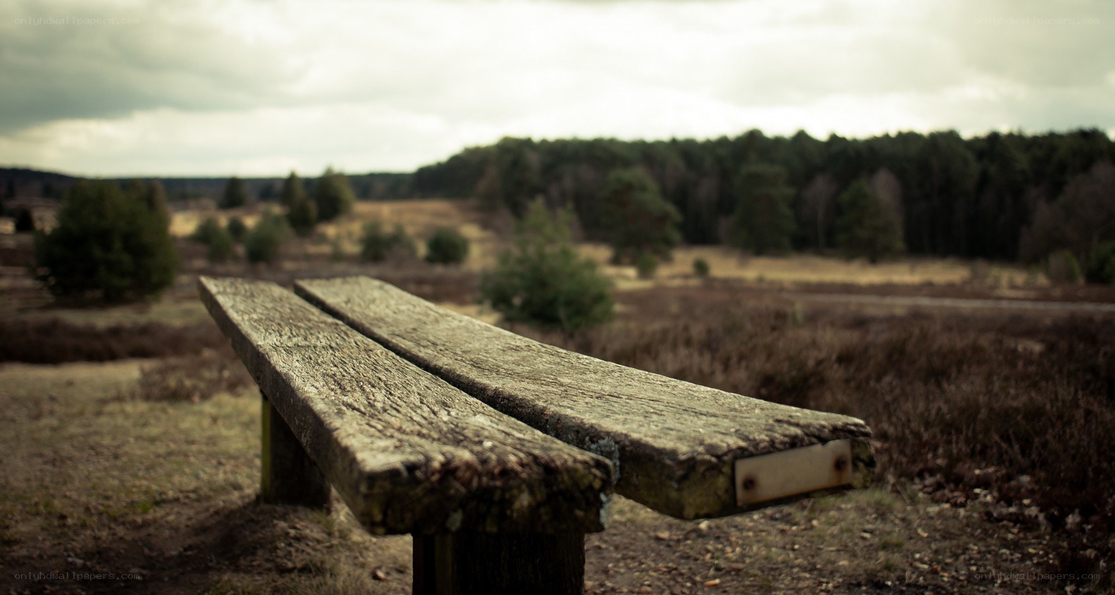 Wooden bench in a field